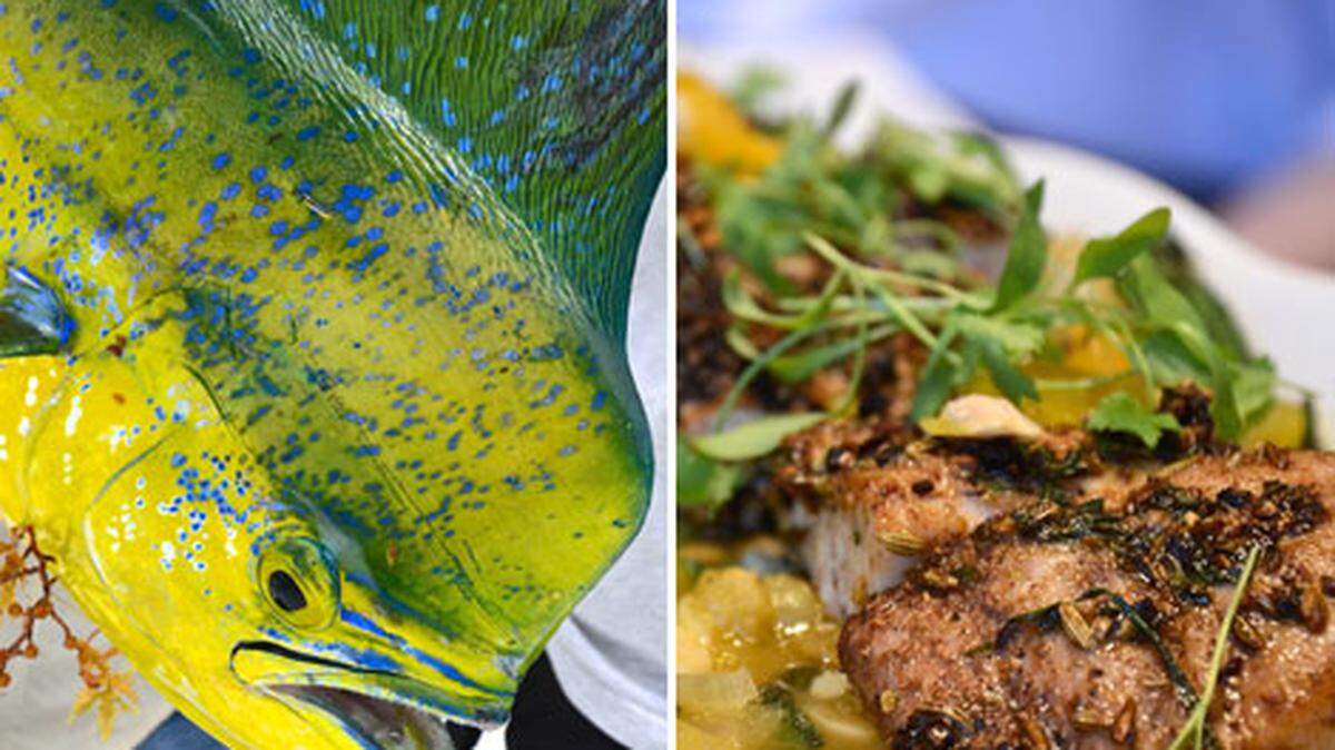 Chef Allen Susser's Sustainable Seafood dinner series. Photo: Bill Kearney