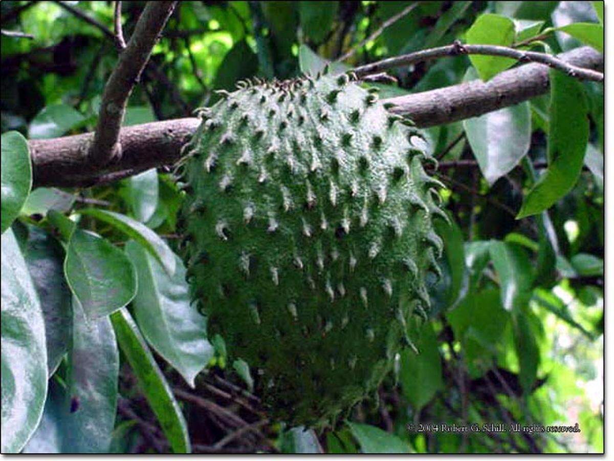 This does not look like something that would taste good.