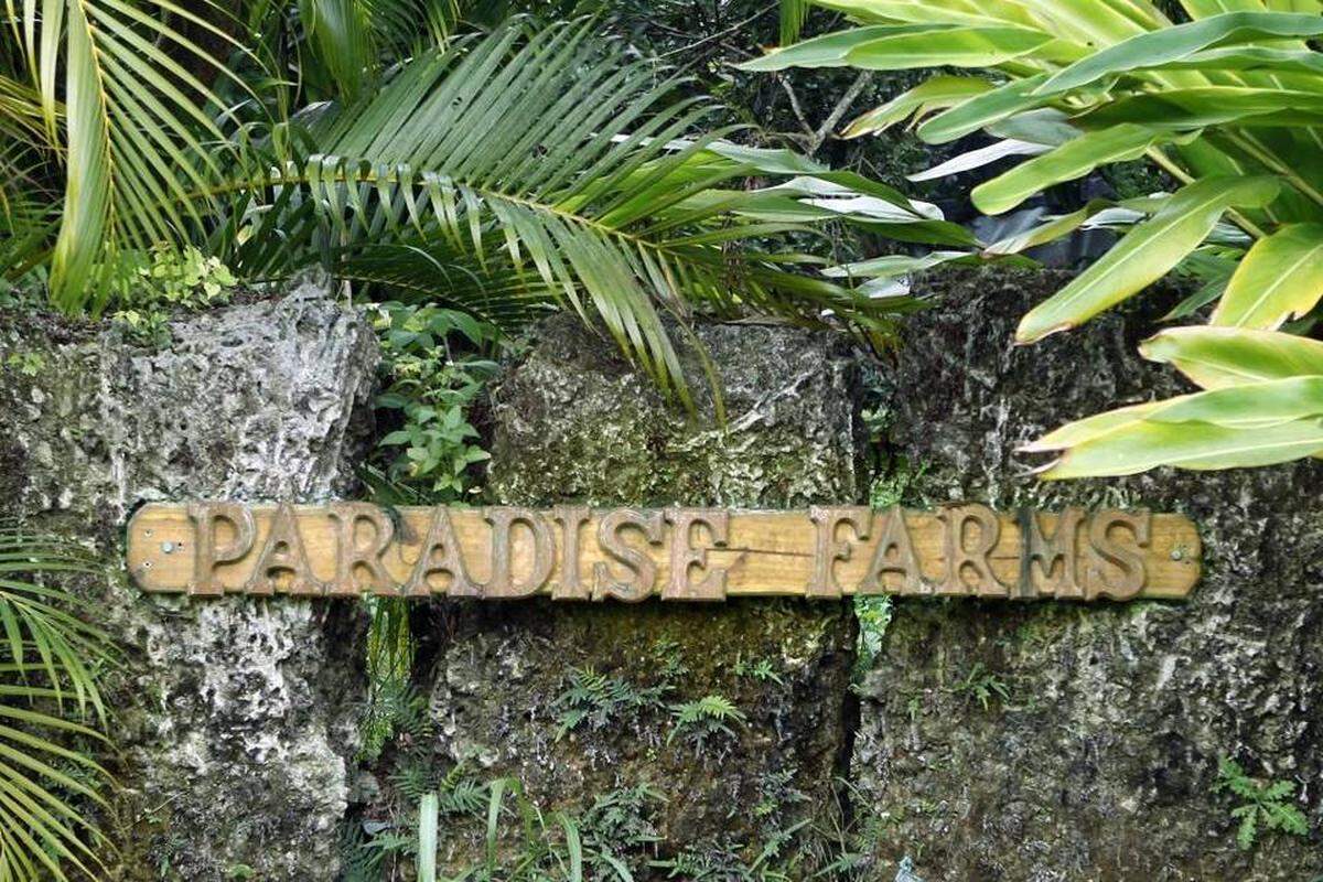 A handmade sign is near the entrance of Paradise Farms in Homestead. Gabriela Marewski has run the property as a certified organic farm since 1999. The new owner will continue the farm and add more health and wellness programming.
