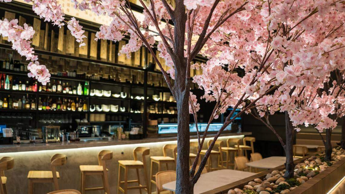 Los cerezos siempre están en flor en el restaurante Paperfish Sushi en Miami.