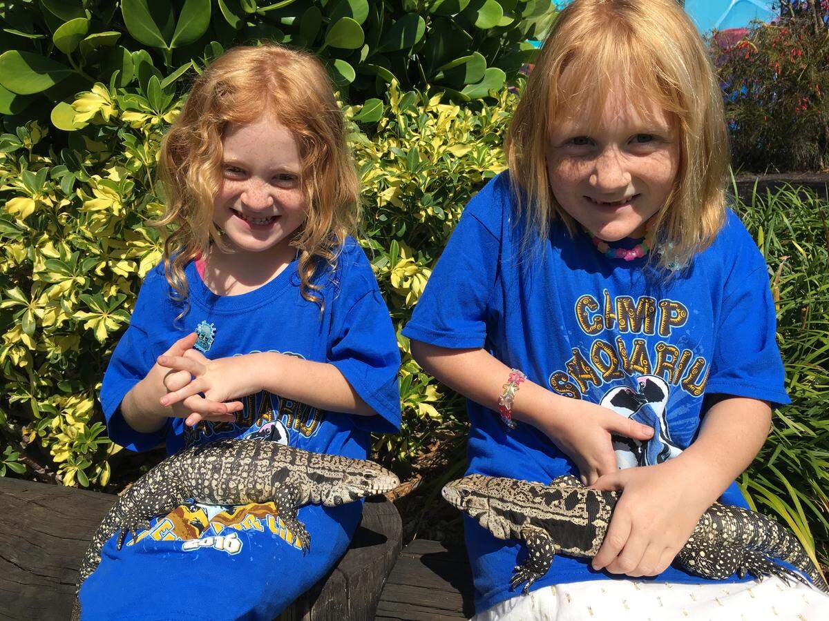 Miami Seaquarium Summer Camp