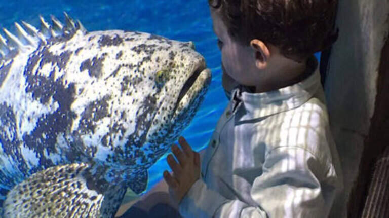 7 things to do with your kids in the Florida Keys