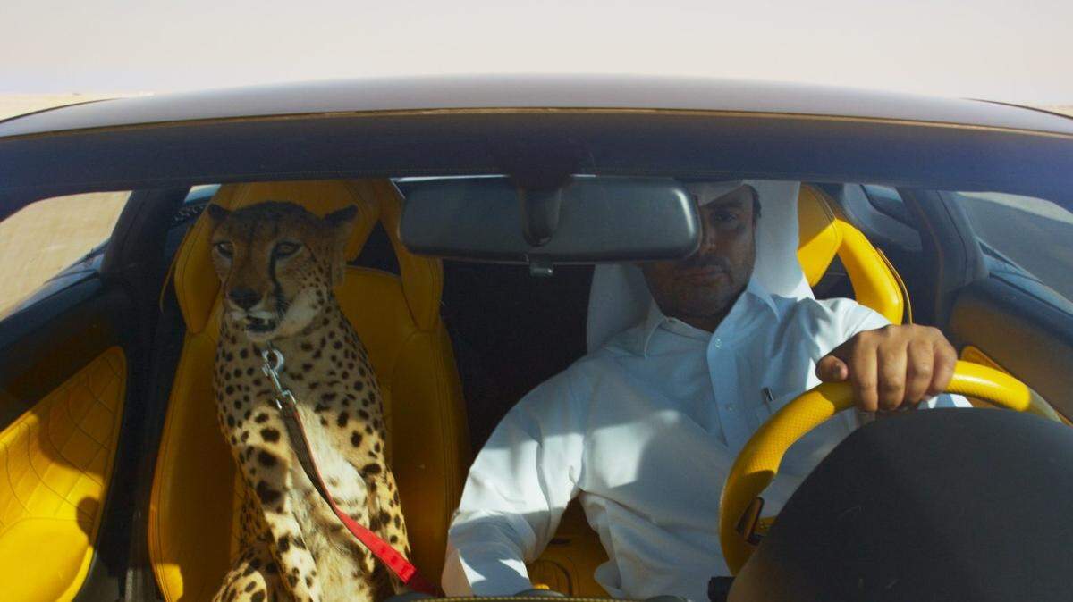 A still from Yuri Ancarani's film "The Challenge."