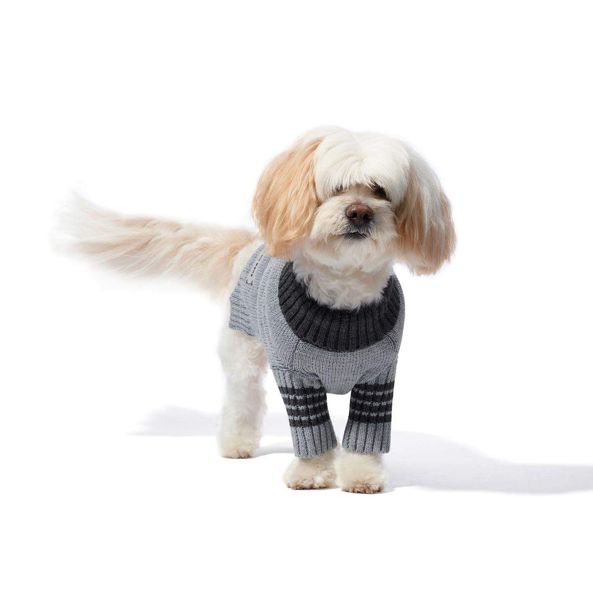 You know your dog doesn’t need this fetching sweater.