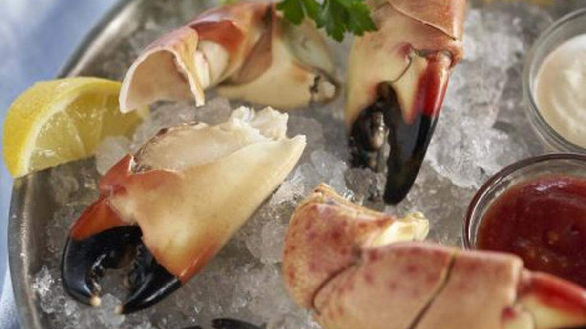 Stone crab season starts Saturday.