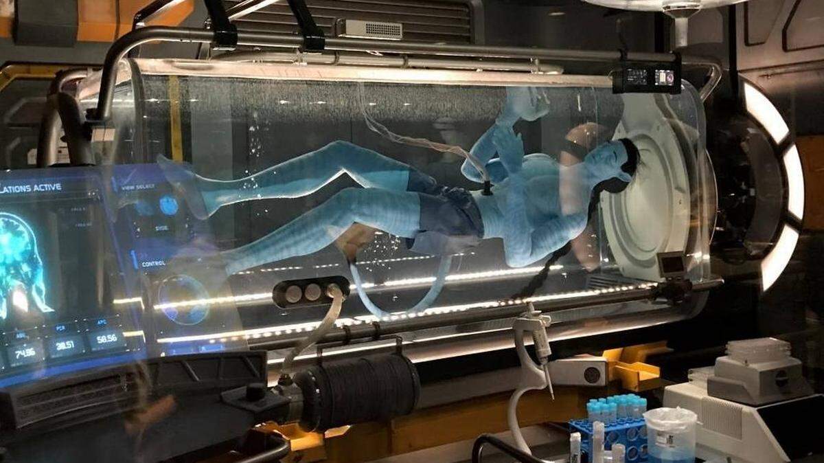 A species in the lab on Pandora at Disney's Animal Kingdom.