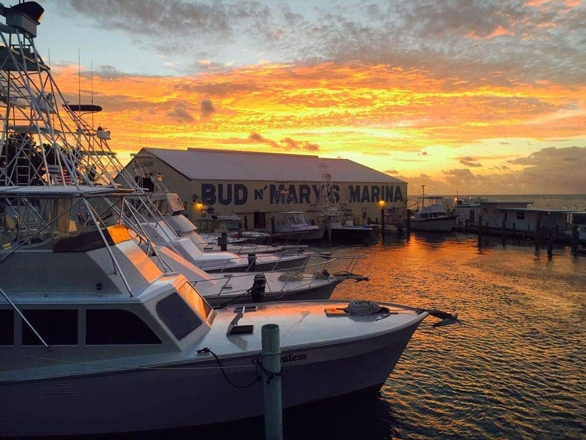 Bud n Mary's Marina has got you covered if you are looking for a fun fishing adventure.