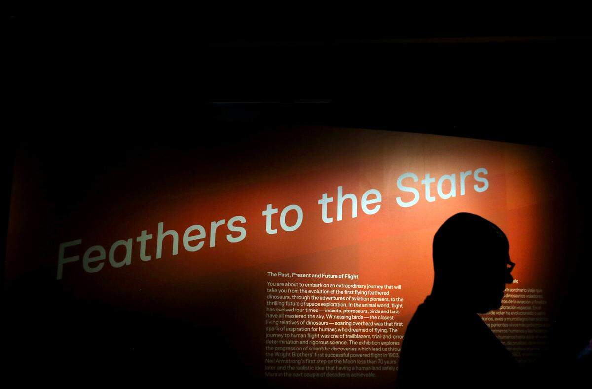 The dramatic entry to the Feathers to the Stars exhibit during the long-awaited opening of the Phillip and Patricia Frost Museum of Science on Sunday, May 7, 2017.