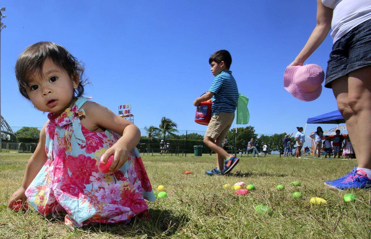 With her mom, right, and big brother Sebastian, 5, nearby, 18-month-old Gabriela Garcia Aguilera of Miami gathers colorful eggs during an egg hunt on Friday, April 3, 2015 during Miami Seaquarium's BunnyPalooza. The annual Easter Weekend event, which continues through Sunday, was a whole lotta fun for visitors. Activities include egg hunts, rides and a rock-climbing wall, goodie bags and an Easter Parade. Miami Seaquarium is at 4400 Rickenbacker Causeway on Key Biscayne.