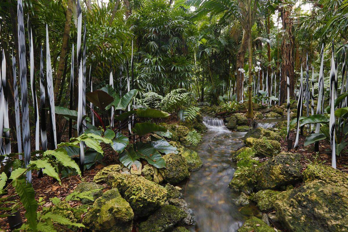 A Dale Chihuly glass sculpture titled Rainforest Fiori on display at Fairchild Tropical Botanic Garden. (Al Diaz/Miami Herald)