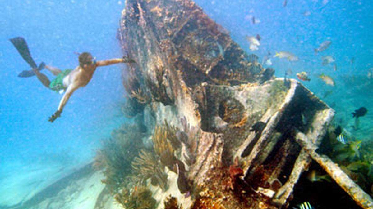 The Mandalay ship wreck in Biscayne National Park. Photo Al Diaz.