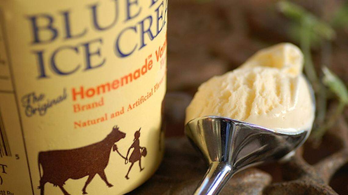 Ezra Koening, Christopher Tomson, Rostam Batmanglij, Chris Baio. Photo by Brahms.