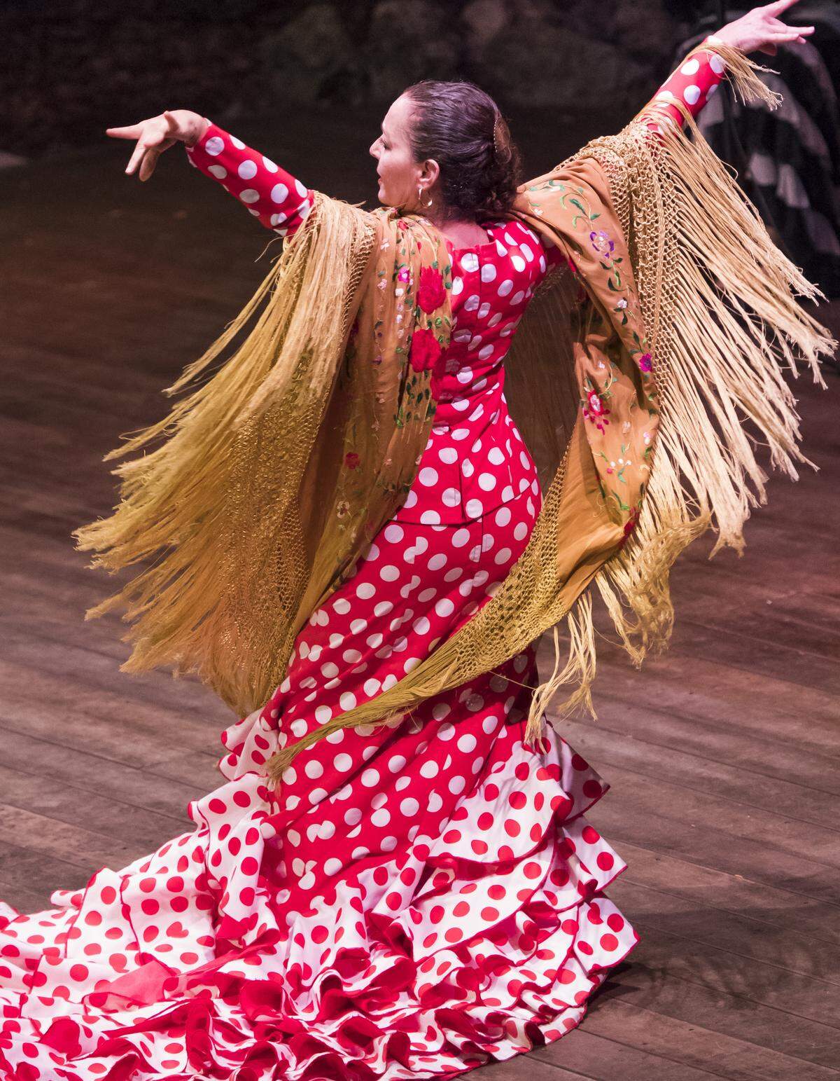 First Bank Florida presented Siempre Flamenco performed in the Bayan Bowl at Pinecrest Gardens on March 3, 2018 in Pinecrest.(Photo by Mitchell Zachs)