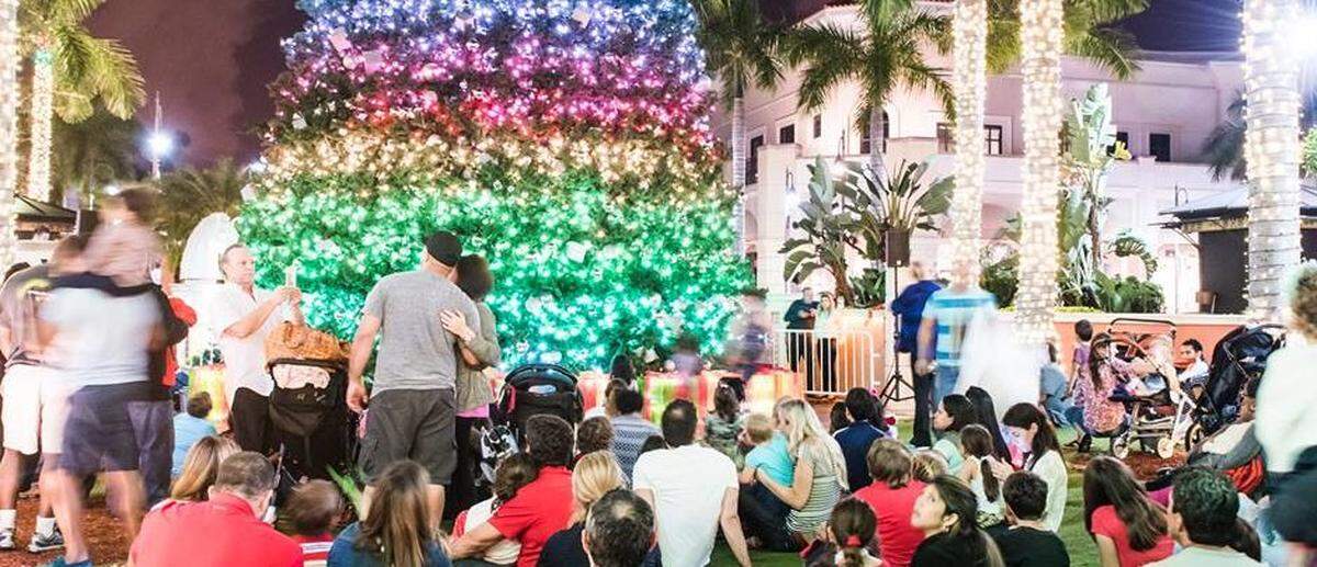 Symphony of Lights at Gulfstream Park runs through Dec. 31. Watch in awe as the lights synchronize with popular holiday songs. (Facebook)