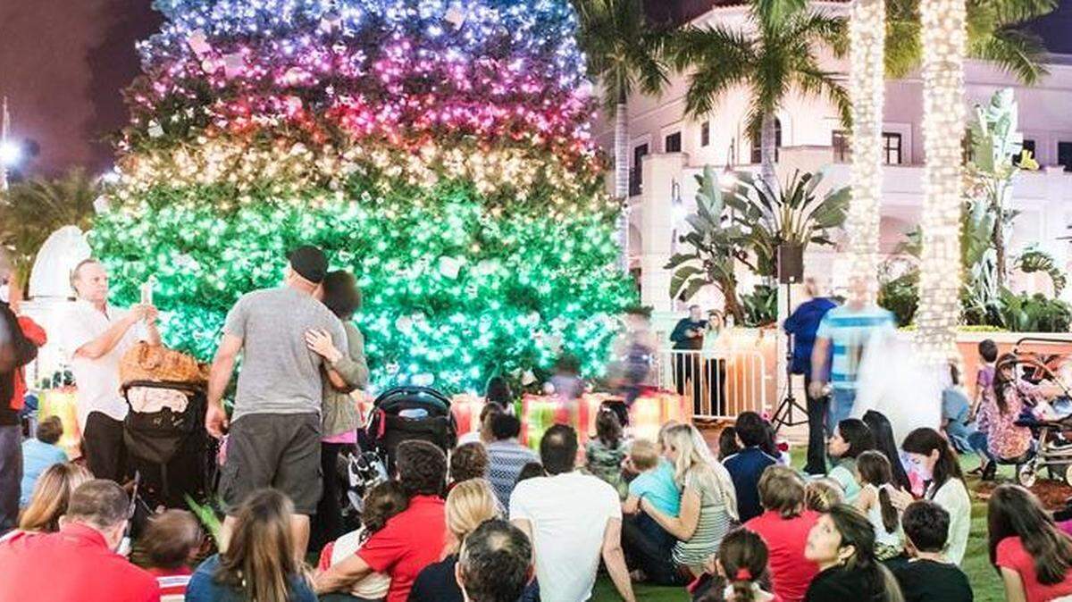 Symphony of Lights at Gulfstream Park runs through Dec. 31. Watch in awe as the lights synchronize with popular holiday songs. (Facebook)