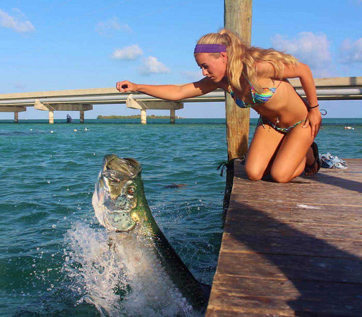 Feed that tarpon