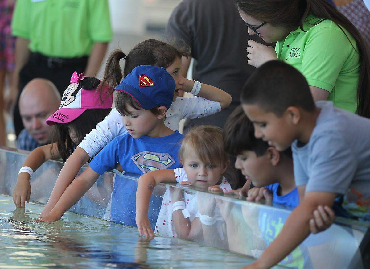 Visitors get to touch the sea life during the long-awaited opening of the Phillip and Patricia Frost Museum of Science on Sunday, May 7, 2017.