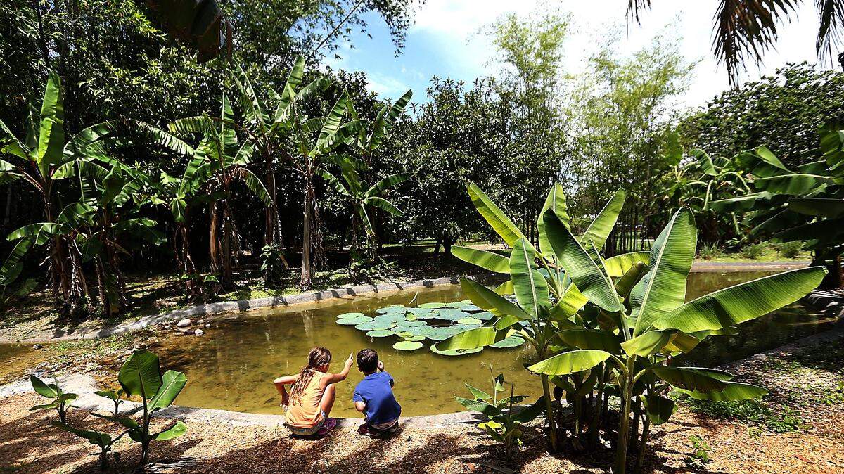 Kids enjoy the magic of nature at the Fruit & Spice Park.