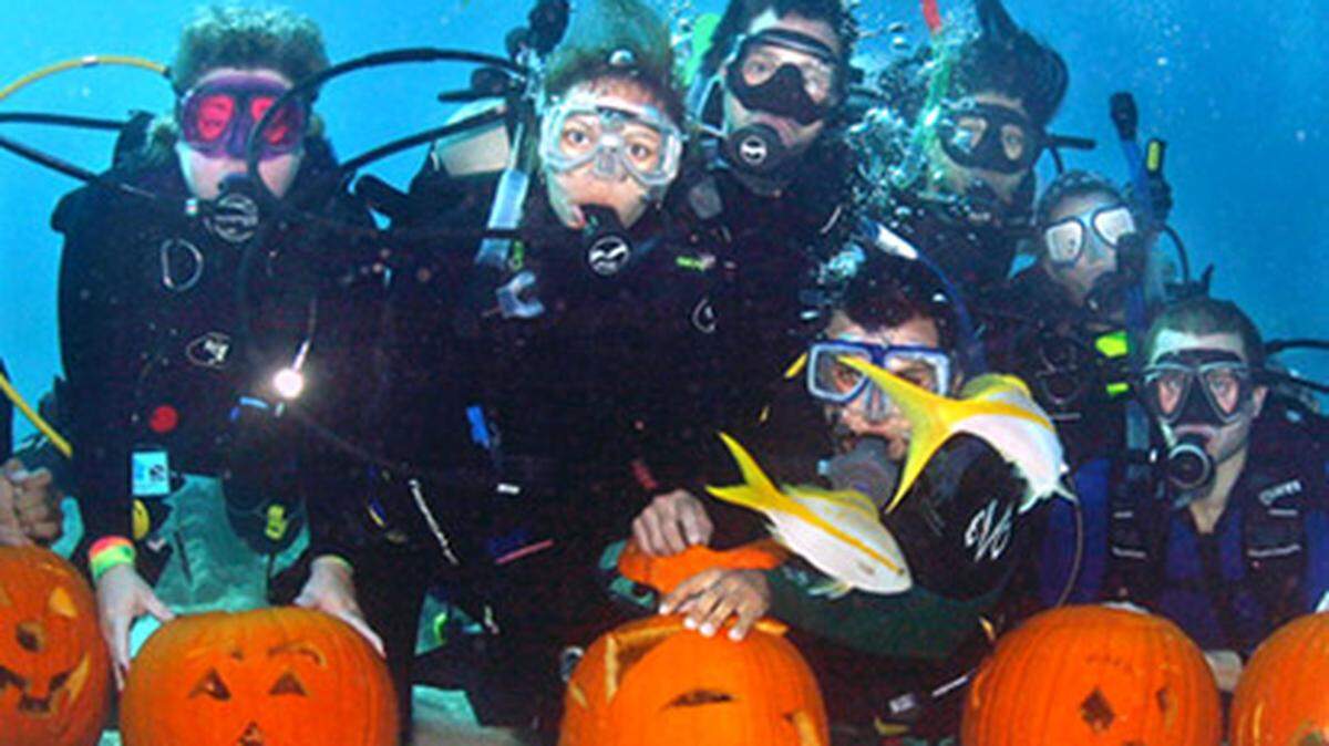Miami's got plenty of underwater fun - with or without pumpkins. Photo: AFP