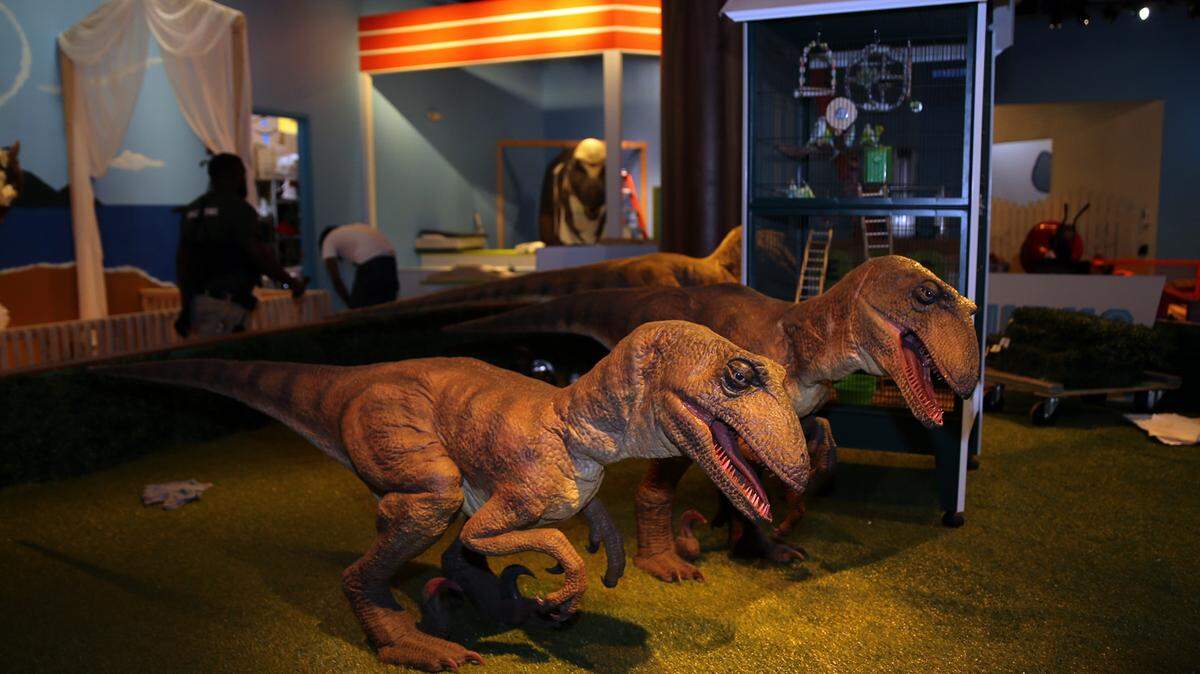 View of a set at the new Dino Island that is returning to Miami Children's Museum on Saturday, June 17, 2017 with a ribbon cutting at 12:30 p.m. in Miami.
