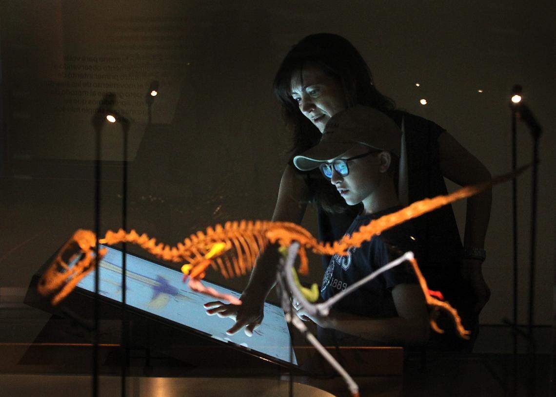 Gabriel Castagna 11 and his mother take in the sights of the Feathers tothe Stars exhibit during the long-awaited opening of the Phillip and Patricia Frost Museum of Science on Sunday, May 7, 2017.
