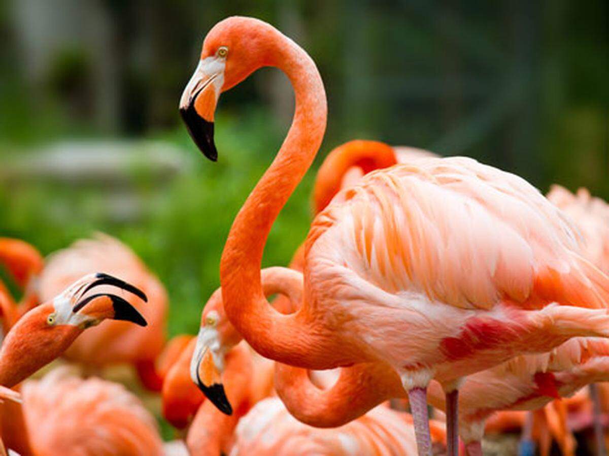 The visitor center at Flamingo took a beating in Hurricane Irma.