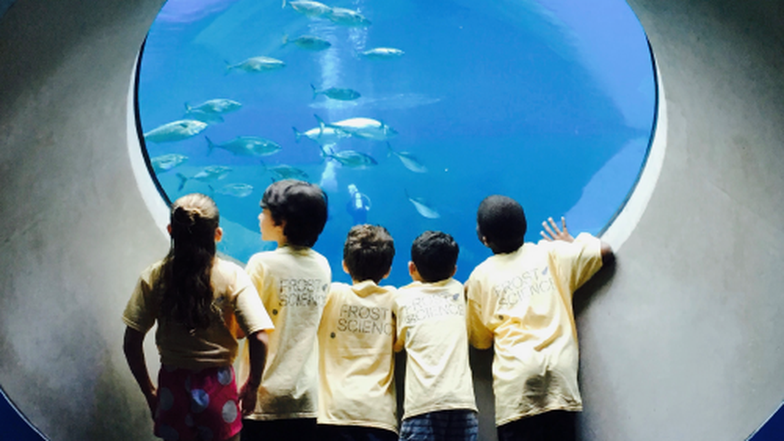 Looking at the Oculus, the very bottom of the Frost Science Museum’s enormous salt water aquarium.