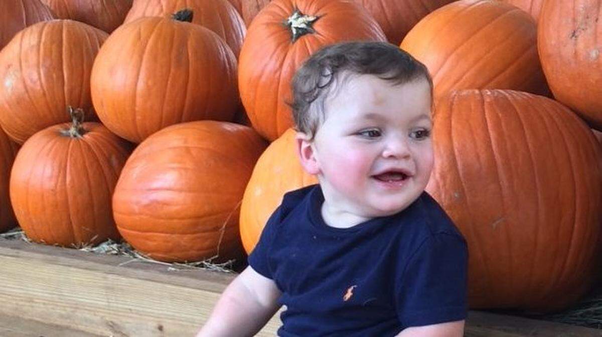 Gregory Weiner, 15 months, is all smiles with pumpkins almost as big as he is at The Little Farm in Goulds.