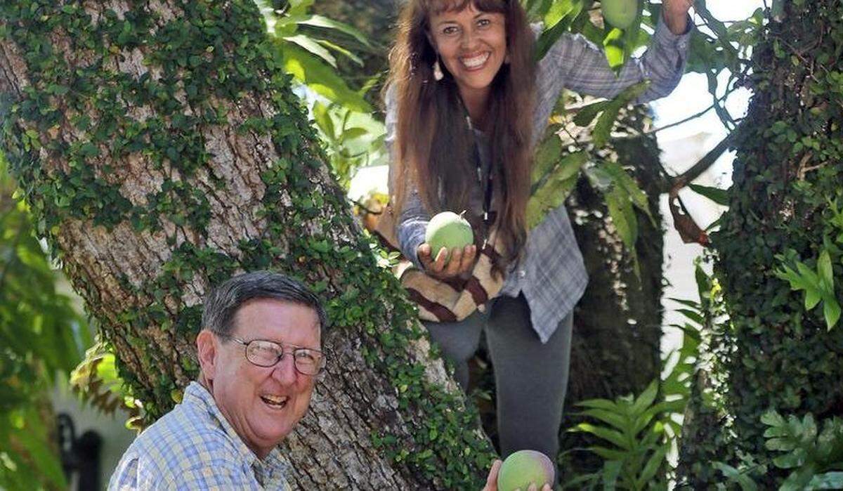 Bruce Matheson holds a Haden Mango along with Noris Lesdesma, Curator of Tropical Fruit at Fairchild Tropical Botanic Garden at the site of what could possibly the be first Haden Mango tree in South Florida.