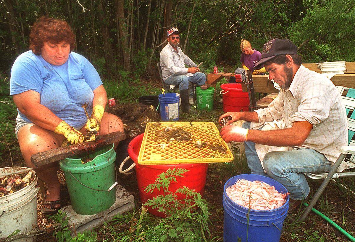 Cleaning the tasty frogs are from left to right, Eveleen yates and James Arnold in the foreground and in the back left to right are, Wilburn Sellers and Susie Sellers.Eveleen cuts the head and guts out and Arnold skins the legs.