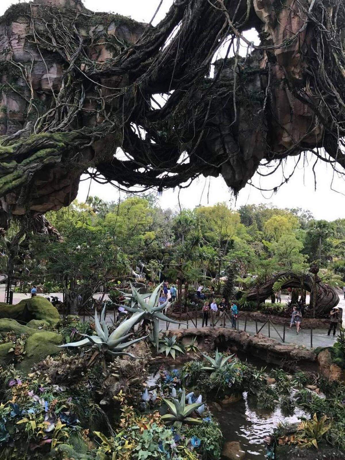 Pandora: The World of Avatar at Disney's Animal Kingdom