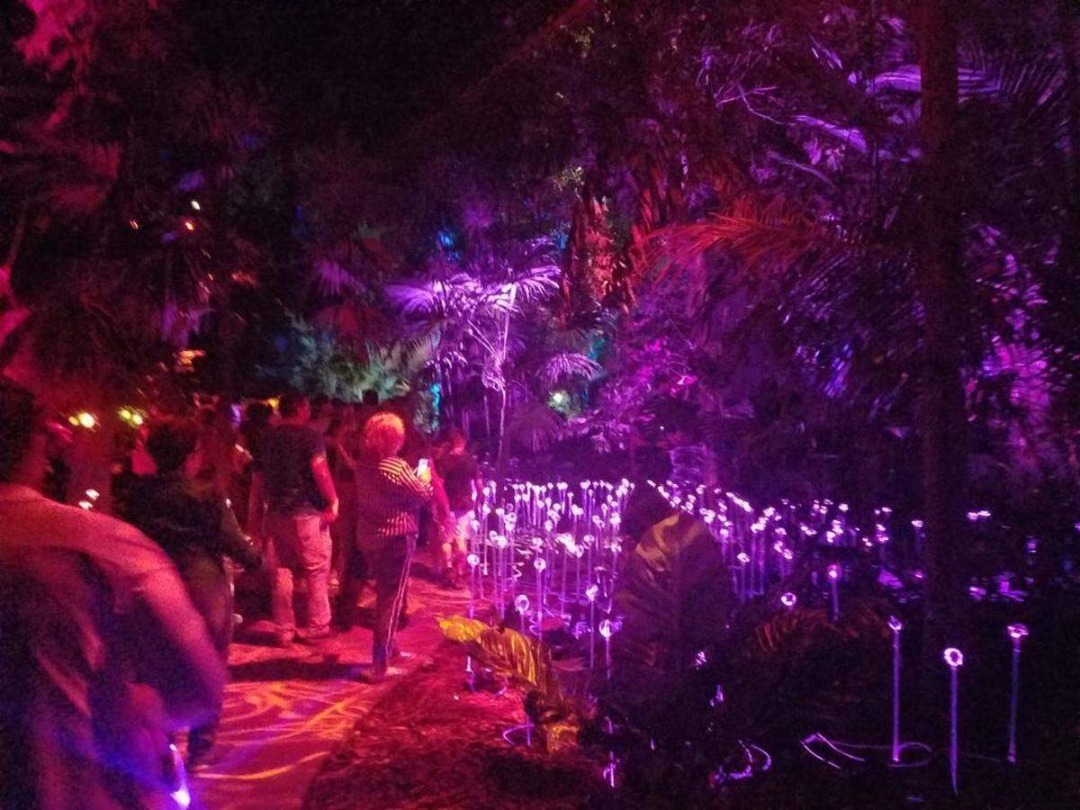 There are SO MANY LIGHTS in The NightGarden. Fairies, too.