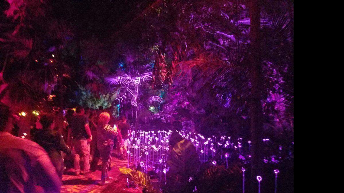 There are SO MANY LIGHTS in The NightGarden. Fairies, too.