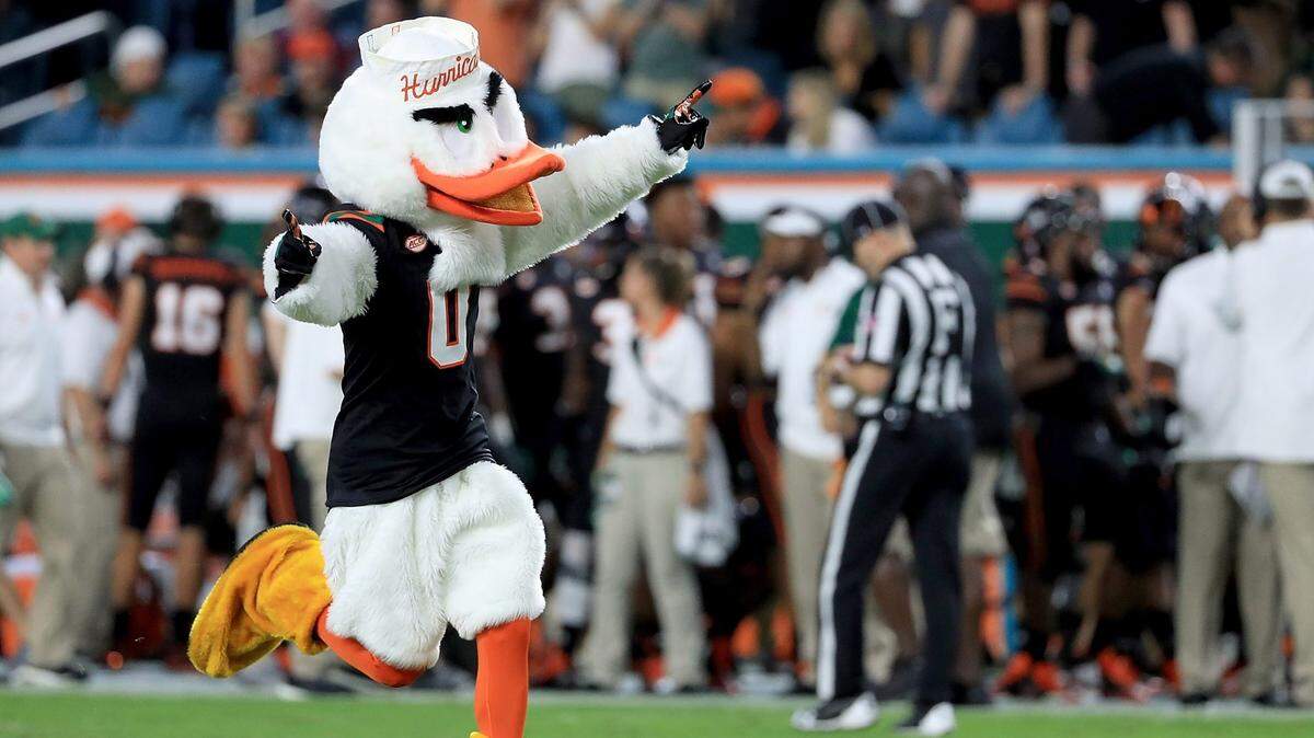 Miami Hurricanes mascot Sebastian is a boss. Be a boss like Sebastian. (Ehrmann/Getty Images)