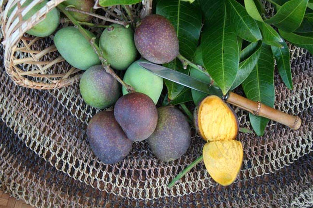 The Kastoori mango is so wild.