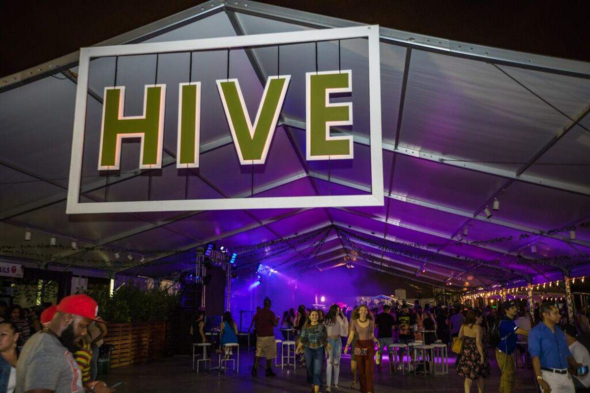 Hive is a hipster hub for Art Baselites