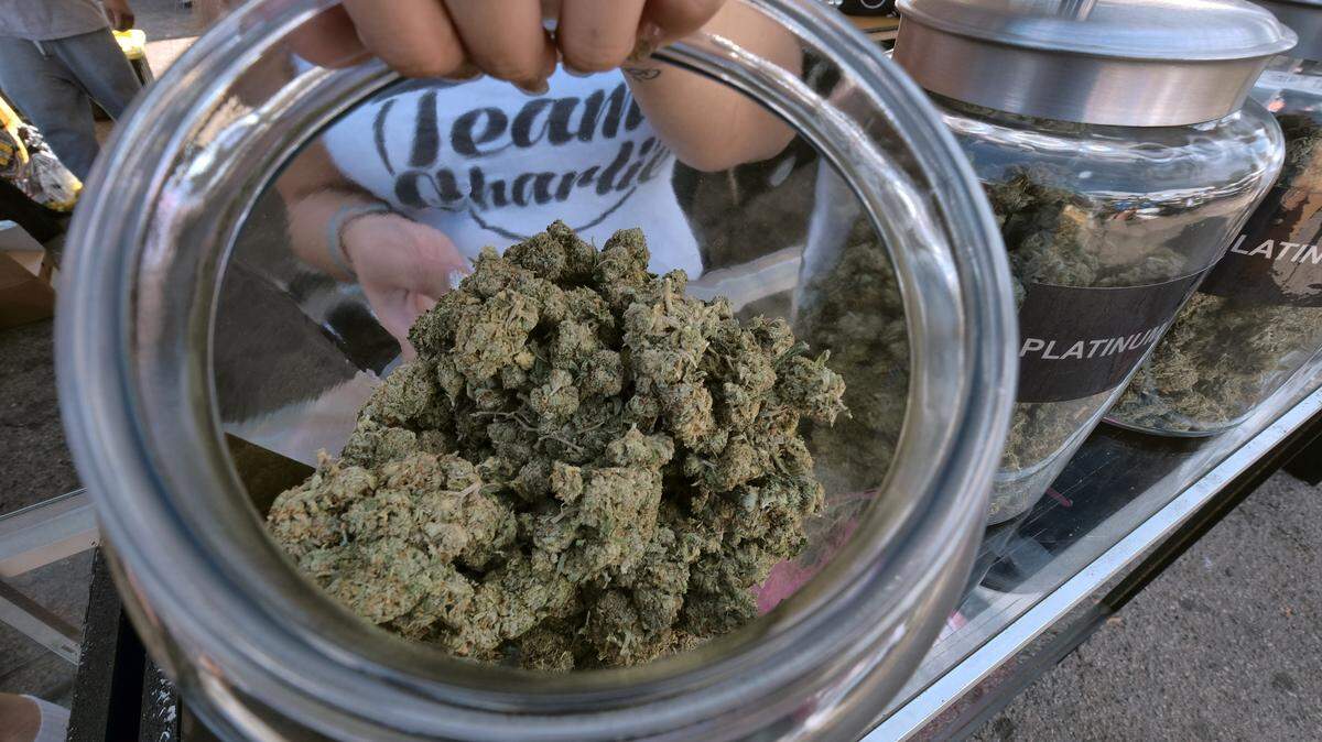 An assortment of marijuana strains during the High Times Harvest Cup in San Bernardino, Calif. On Wednesday, Dec. 6, 2017. (AP Photo/Richard Vogel, File)