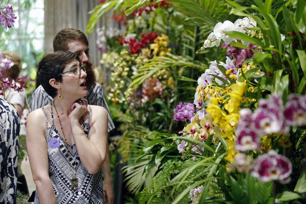 Silvia and Ryan Bermudez admire the orchids on Saturday, March 14, 2015 during the 13th Annual International Orchid Festival being held this weekend through Sunday, March 13-15, at Fairchild Tropical Botanic Garden.