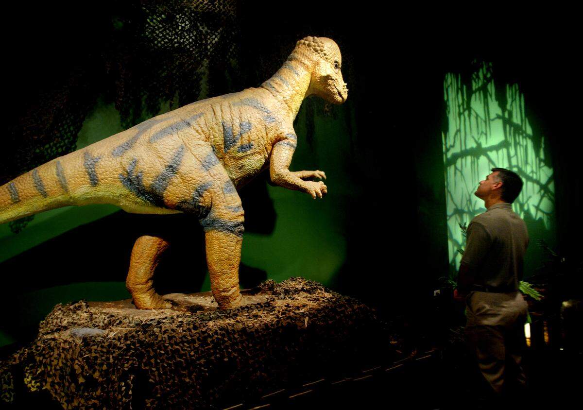 A robo-dino encournter at the Museum of Discovery and Science in Fort Lauderdale. Photo: J. Albert Diaz