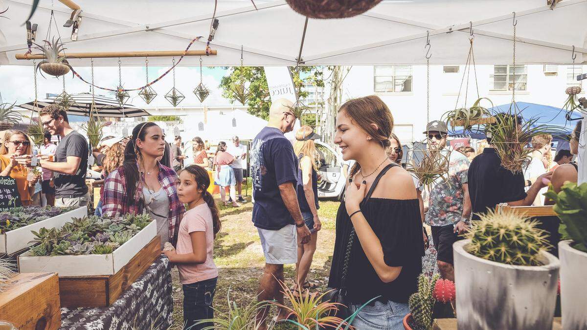The Miami Flea