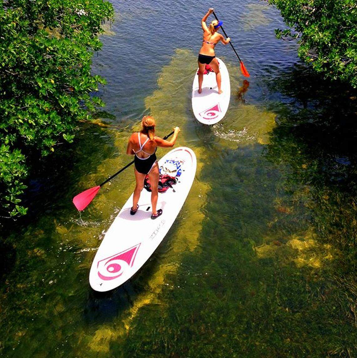 John C. Pennekamp Coral Reef State Park
