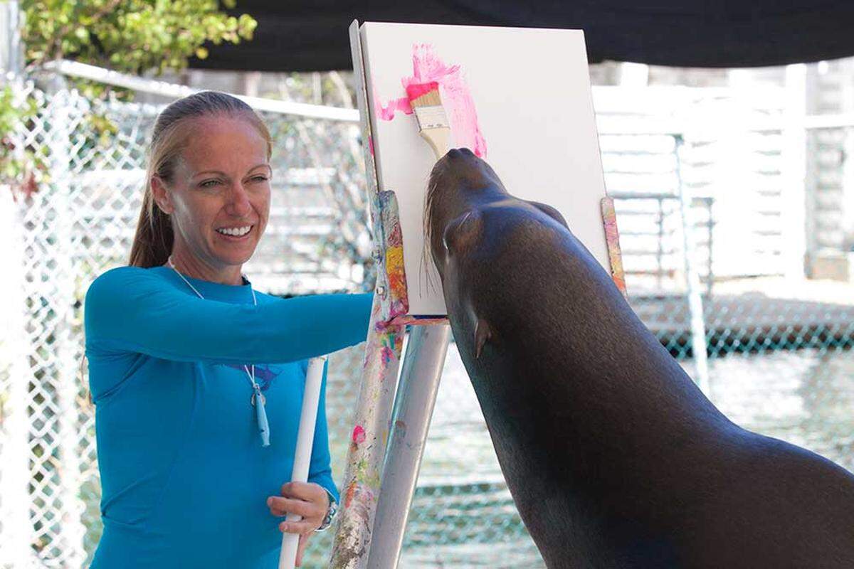 Sea lions painting. OK.