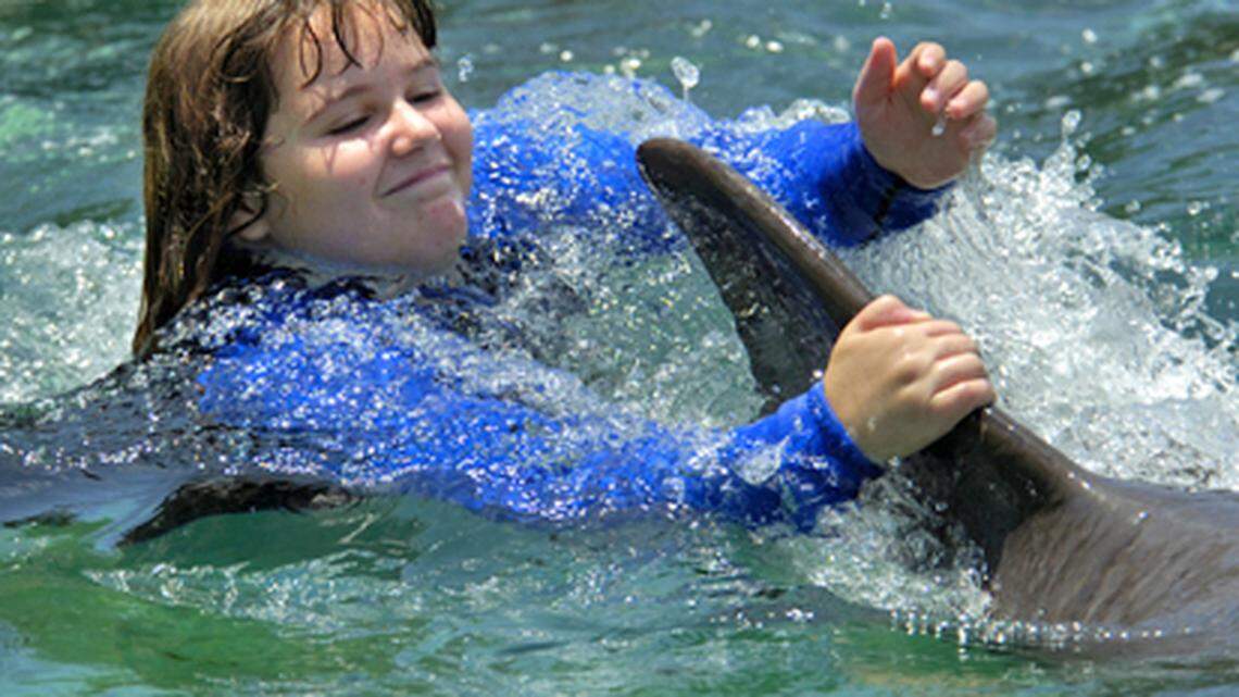 In this file photo, a young girl hitches a ride on a dolphin at the Miami Seaquarium. 