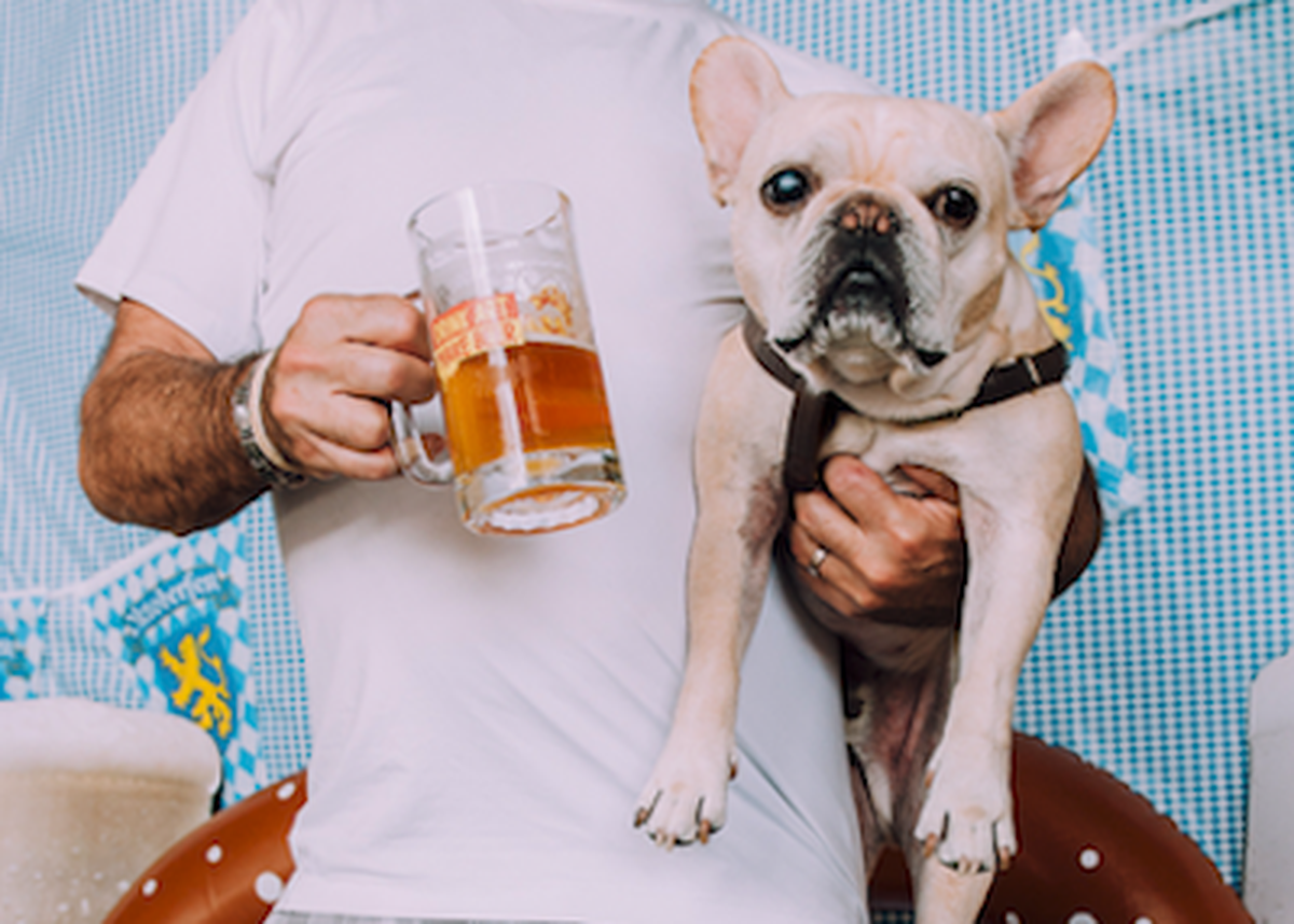 Why should humans have all the fun? Wynwood's Concrete Beach Brewery has brewed a beer for dogs. (Handout)