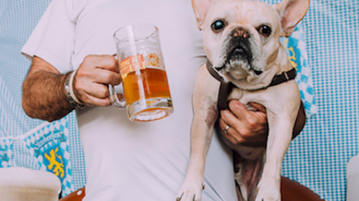Why should humans have all the fun? Wynwood's Concrete Beach Brewery has brewed a beer for dogs. (Handout)
