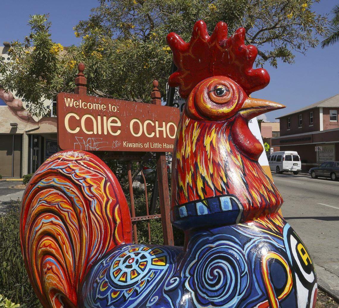 Giant rooster statues can be found all over Little Havana's Calle Ocho and have been a popular symbol for the community.