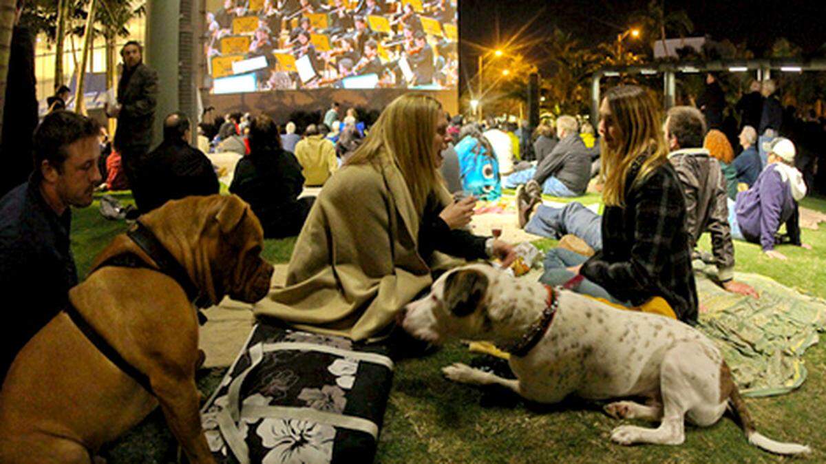 The New World Center on Miami Beach held its first Wallscape Concert, reprising the opening night performance by the New World Symphony. Photo: Tomas Loewy