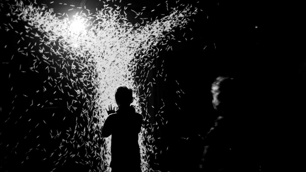 Interacting with the art is mandatory at Artechouse.