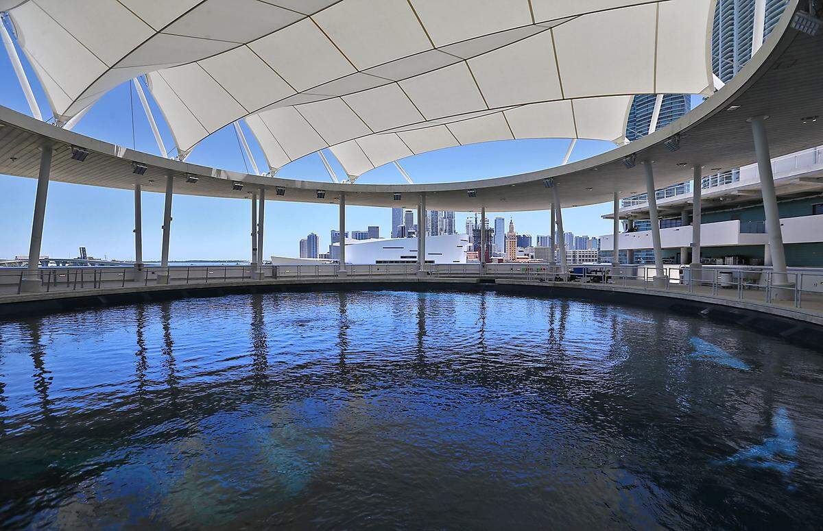 The view from over the large aquarium during the long-awaited opening of the Phillip and Patricia Frost Museum of Science on Sunday, May 7, 2017.