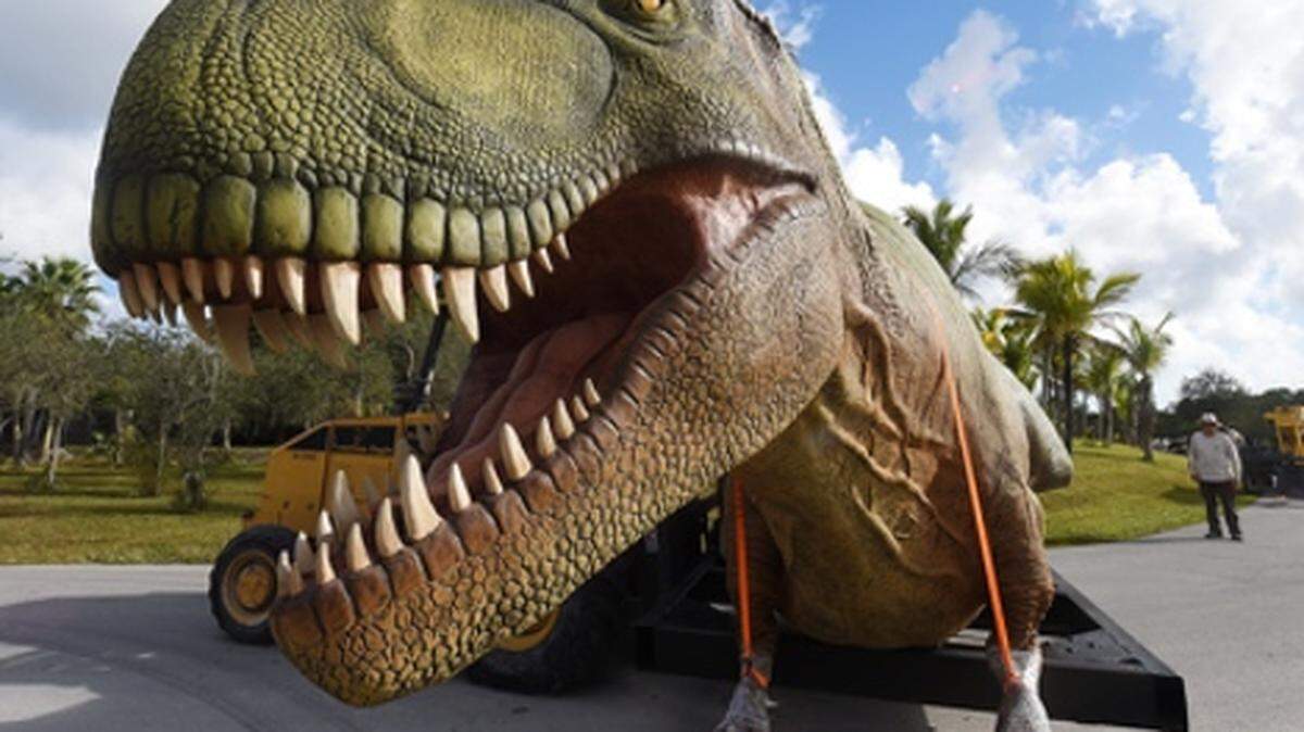 T-Rex arrives at Zoo Miami. Photo: Zoo Miami